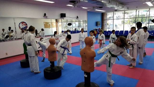 USA Seibukan Martial Arts Training Center 1