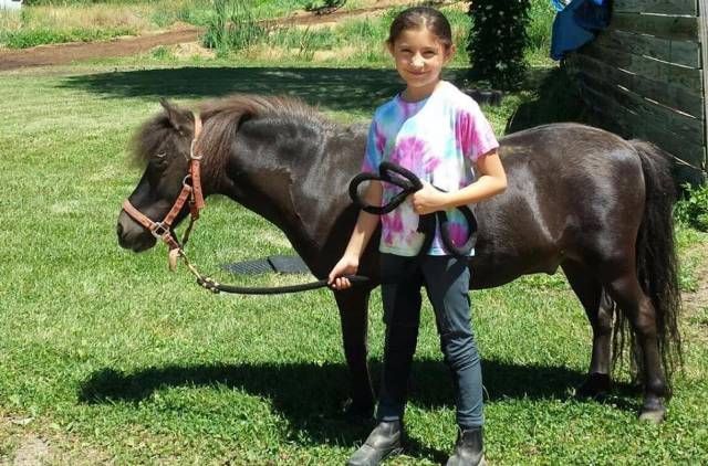 Neely Equestrian Center 1