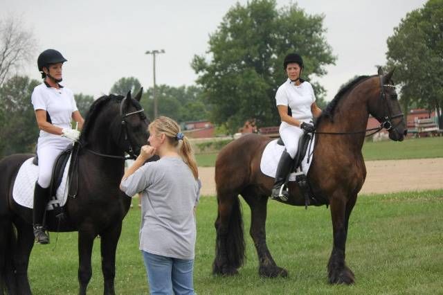 The Friesian Empire & Equine Center 1