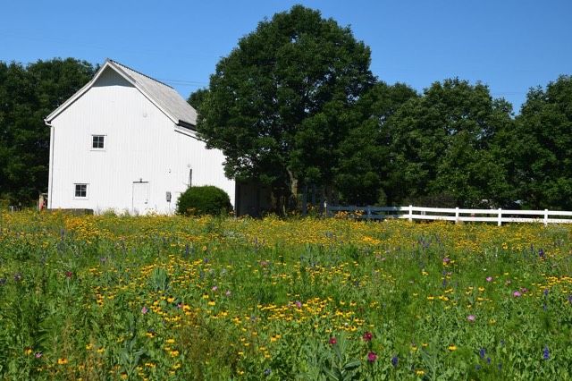 Homestead Metro Park 1