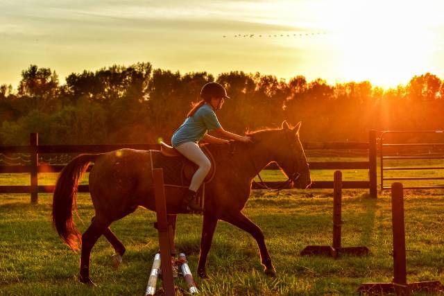 horse riding classes near me